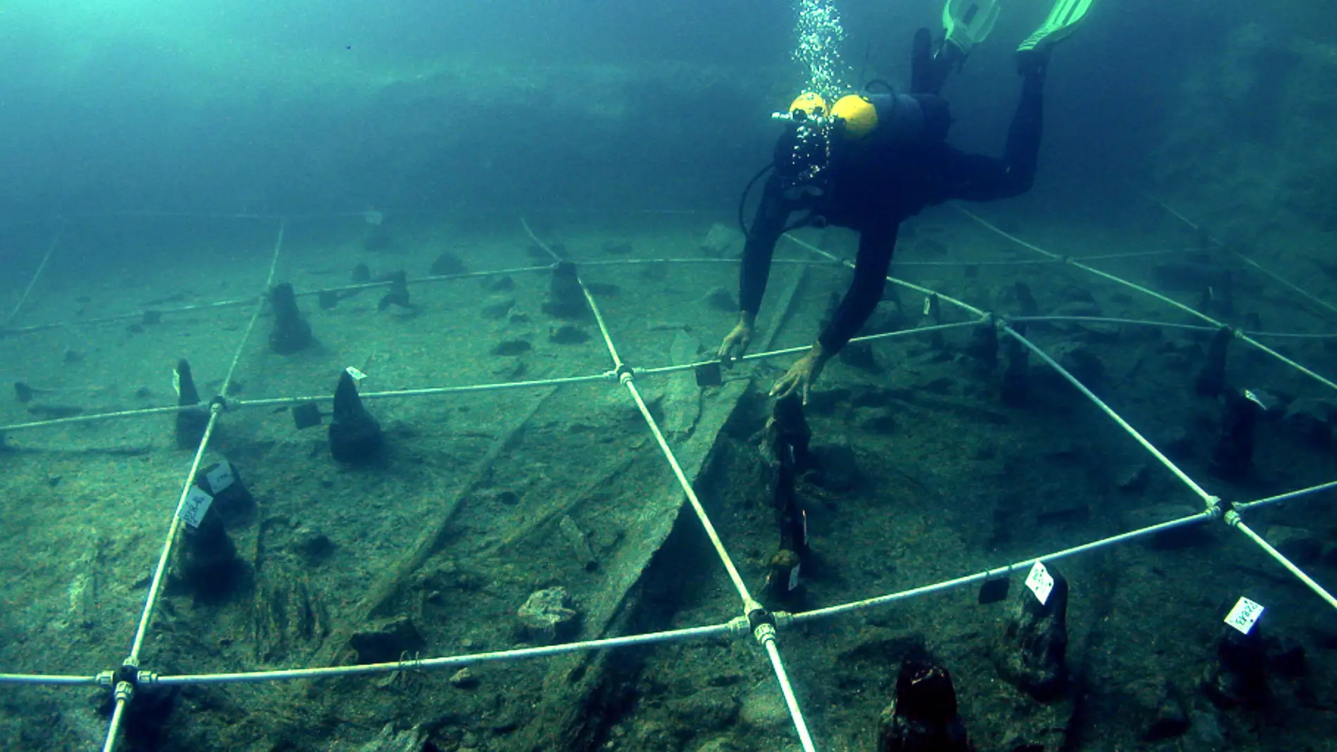 Hallan plantas con efecto estupefaciente en un asentamiento de hace 7.500 anos en Italia