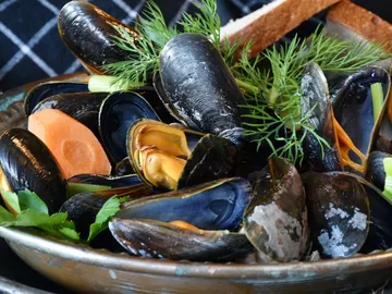 Mejillones Mejillones