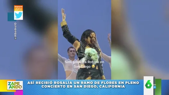 La respuesta viral de Rosalía después de que le lancen una ramo de flores a la cara en pleno concierto La respuesta viral de Rosalía después de que le lancen una ramo de flores a la cara en pleno concierto