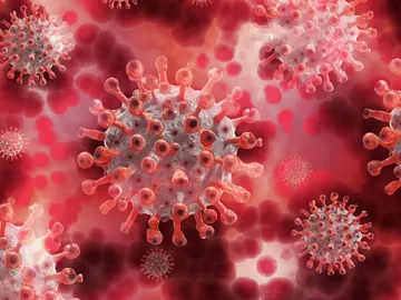 coronavirus coronavirus