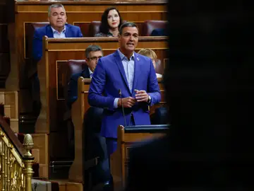 El presidente del Gobierno, Pedro Sánchez, en el Congreso de los Diputados