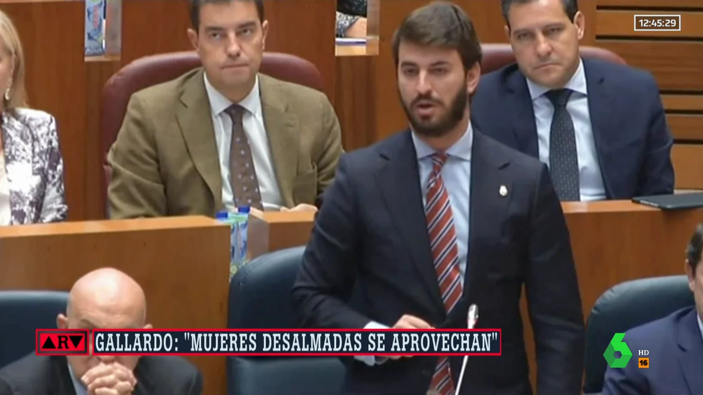 García-Gallardo (Vox) habla de "desalmadas" que utilizan la violencia de género para obtener la custodia de sus hijos García-Gallardo (Vox) habla de "desalmadas" que utilizan la violencia de género para obtener la custodia de sus hijos