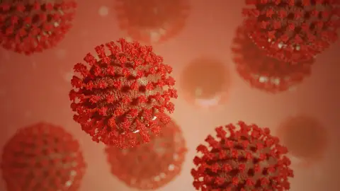 coronavirus coronavirus