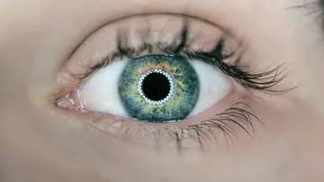 El análisis ocular puede detectar las dolencias