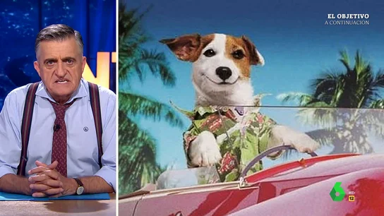 wyo perros wyo perros