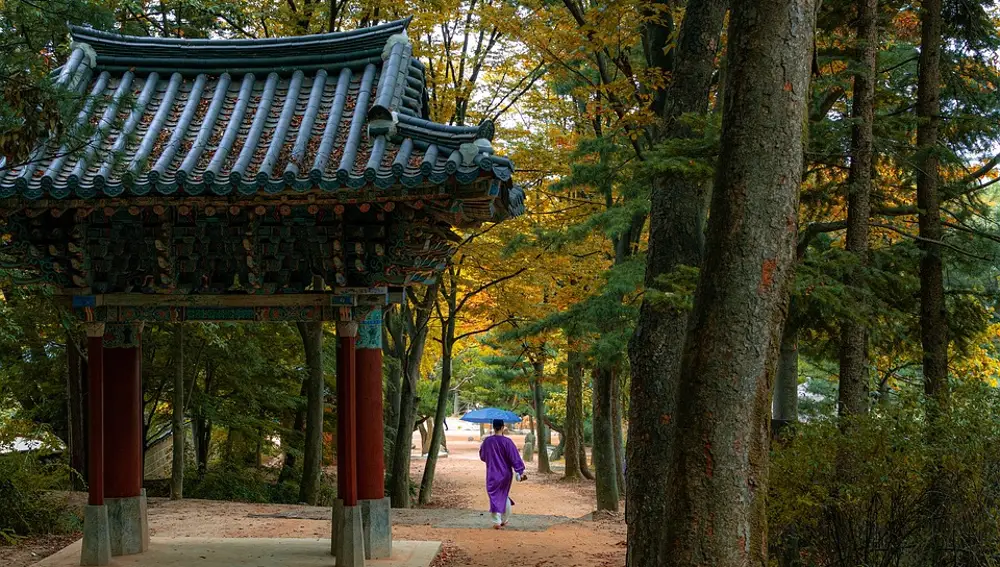 Corea del Sur en otoño