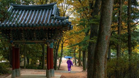 Corea del Sur en otoño