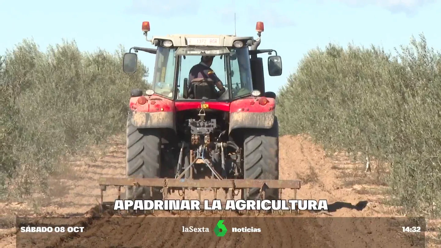 Fuera intermediarios: los agricultores optan por buscar padrinos para sus árboles Fuera intermediarios: los agricultores optan por buscar padrinos para sus árboles