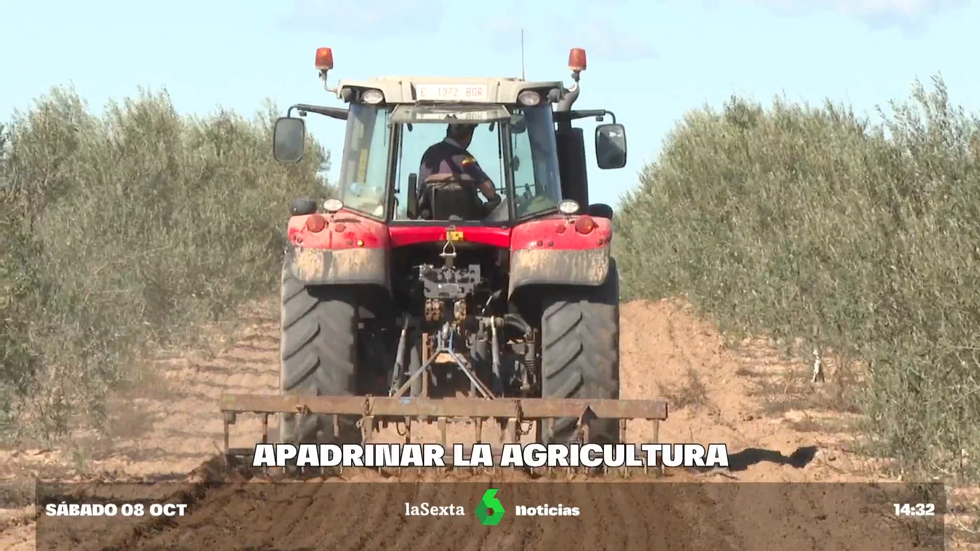 Fuera intermediarios: los agricultores optan por buscar padrinos para sus árboles