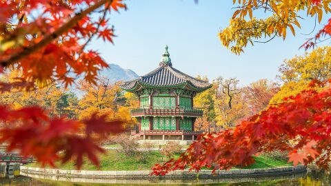 Corea del Sur en otoño 