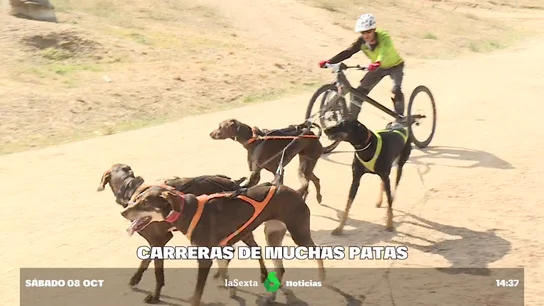 CANI CROSS CANI CROSS