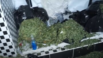 Un youtuber descubre una plantación industrial de marihuana en la mansión de un ex de Liverpool y Zaragoza