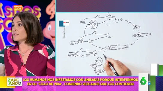 Qué es el anisakis y qué ocurre cuando entra en nuestro cuerpo: Boticaria García explica las claves Qué es el anisakis y qué ocurre cuando entra en nuestro cuerpo: Boticaria García explica las claves