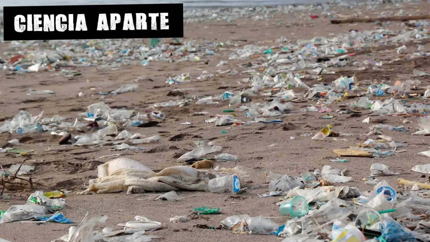 Una playa repleta de basura Una playa repleta de basura
