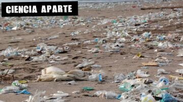Una playa repleta de basura