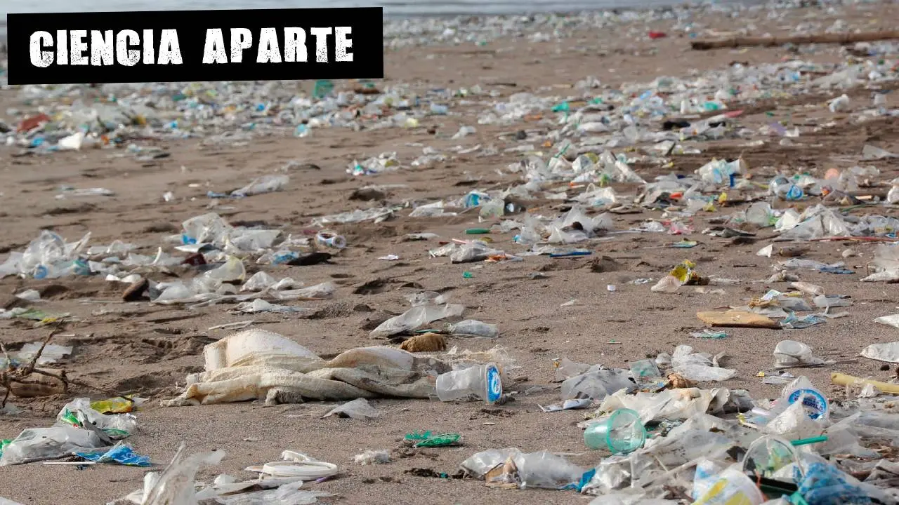 Una playa repleta de basura