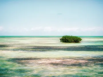 Vacaciones en el Caribe... y en noviembre Vacaciones en el Caribe... y en noviembre