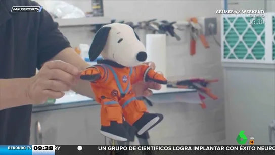 Snoopy se va al espacio: el curioso tripulante que viajará en la misión Artemis I de la NASA Snoopy se va al espacio: el curioso tripulante que viajará en la misión Artemis I de la NASA