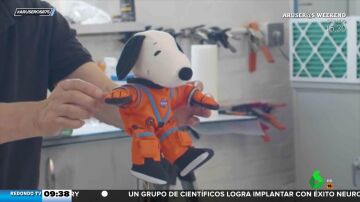 Snoopy se va al espacio: el curioso tripulante que viajará en la misión Artemis I de la NASA