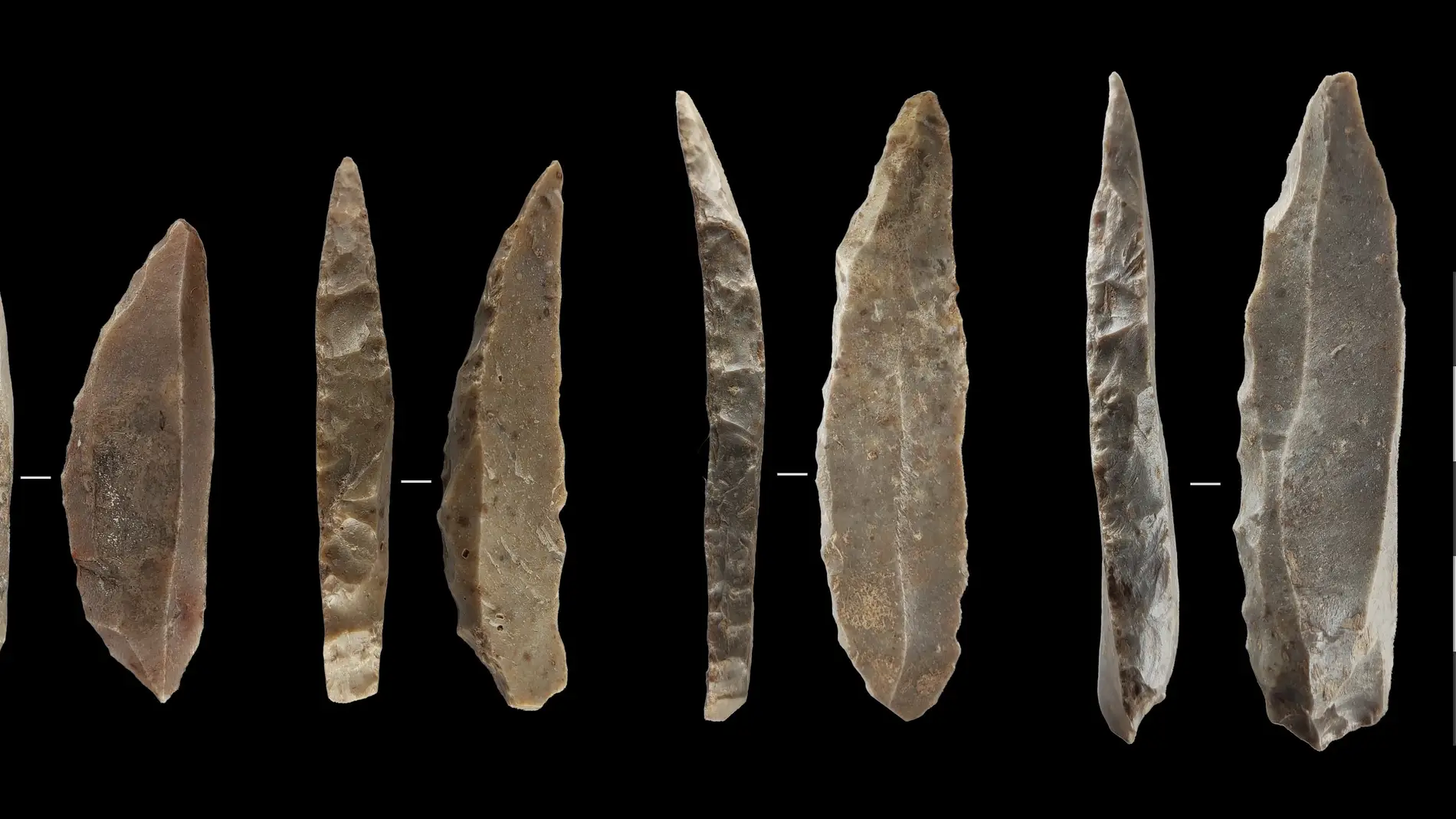 Humanos modernos y neandertales coexistieron en Francia y norte de Espana entre 1.400 y 2.900 anos