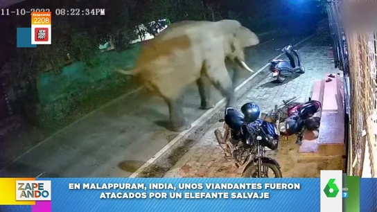Ataque de un elefante en India Ataque de un elefante en India