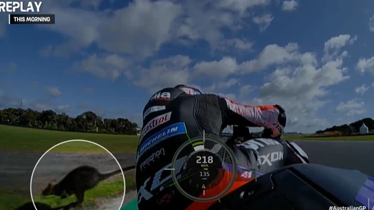 Aleix Espargaró se cruza con un canguro en Australia Aleix Espargaró se cruza con un canguro en Australia