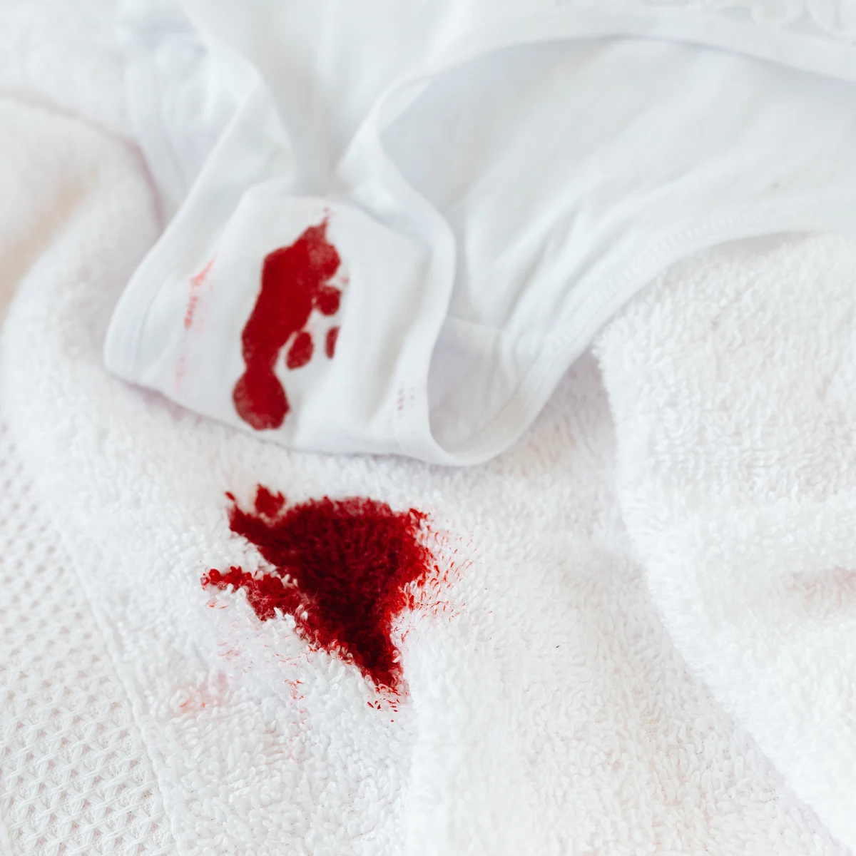 Grapa harina póngase en fila Cómo quitar las manchas de sangre de la ropa