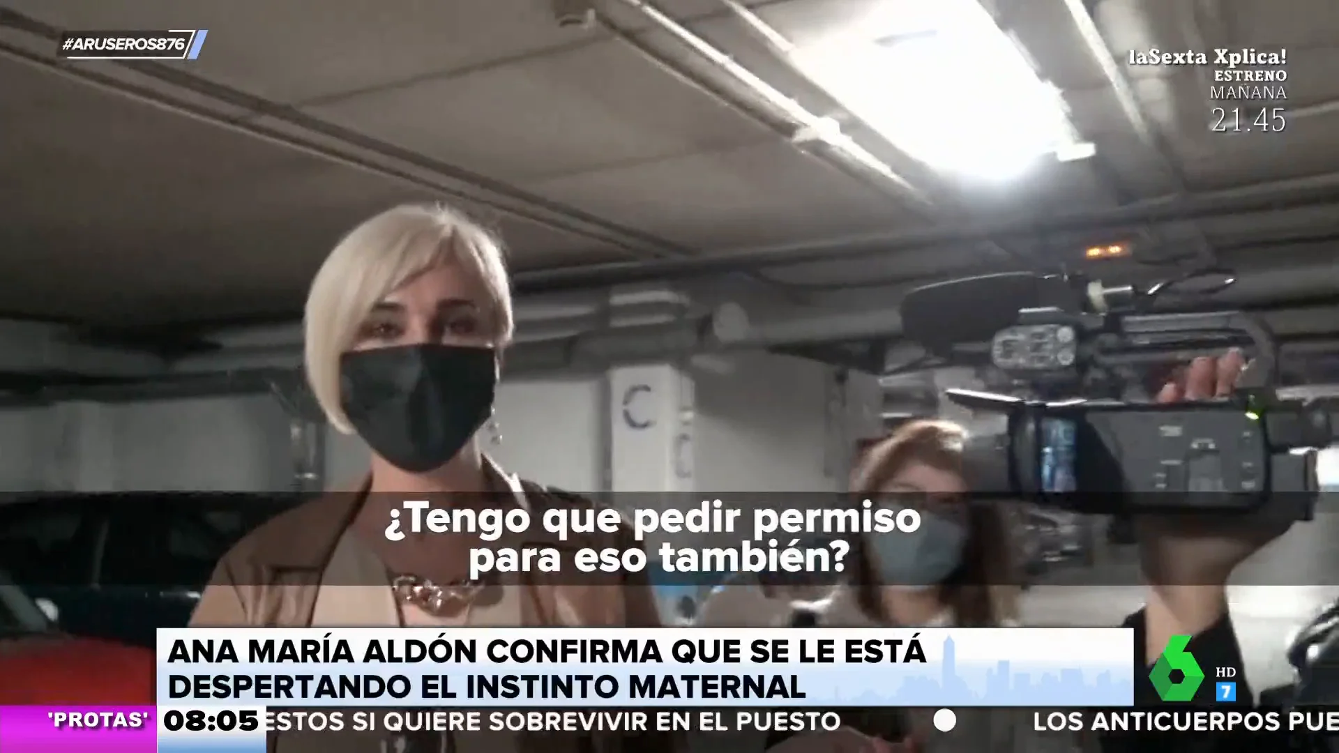 Ana María Aldón desvela que se le ha despertado el instinto maternal