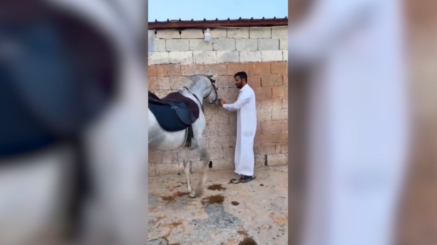 Caballo