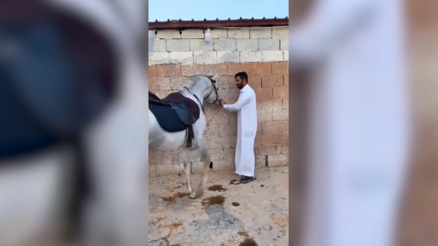 Caballo Caballo