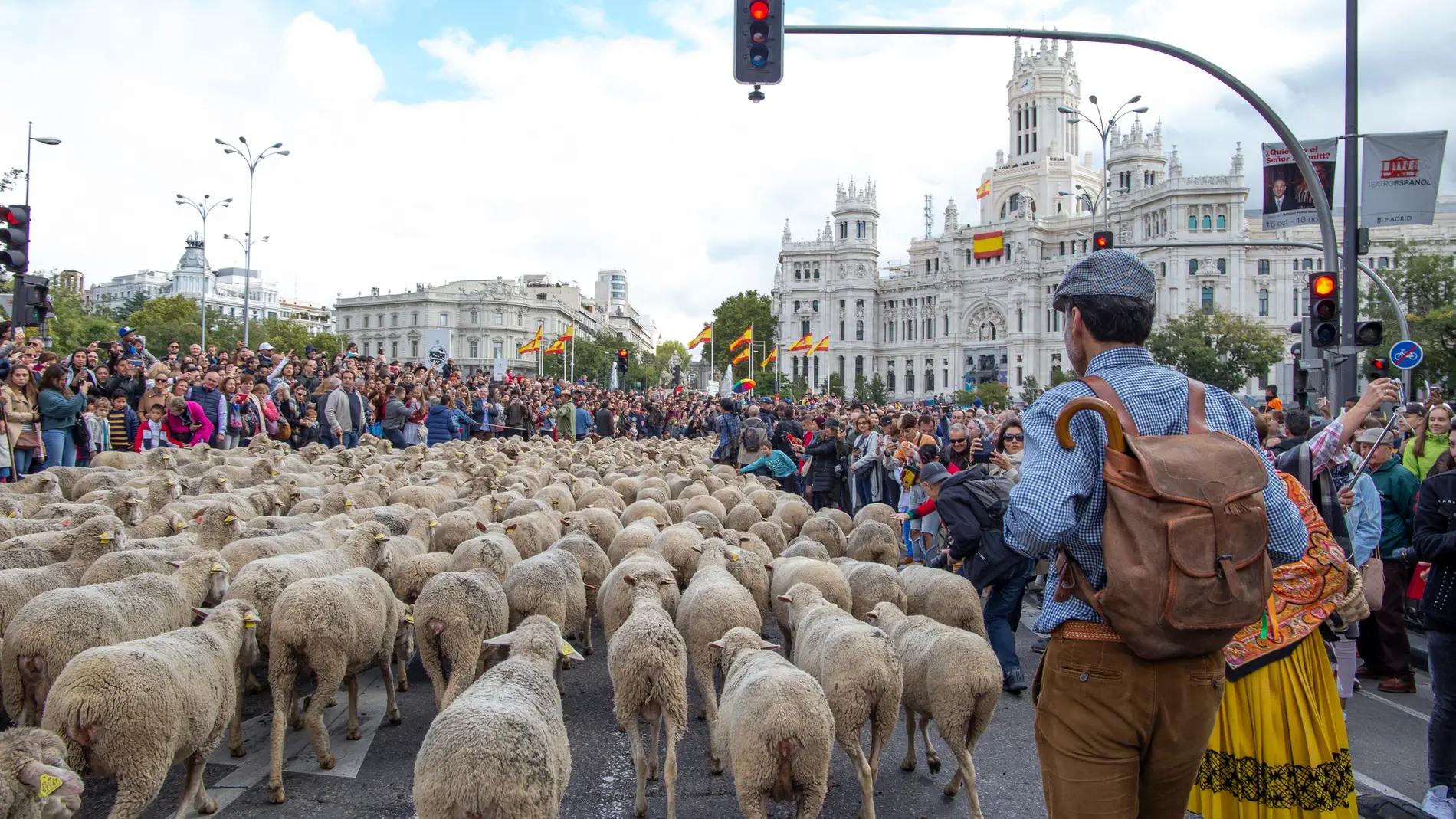 Madrid lleno de ovejas durante la Fiesta de la Transumancia