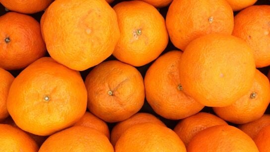 Comer bien para ver mejor: esto son los alimentos que cuidan de nuestra vista
