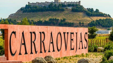 Castillo y Bodega. Peñafiel