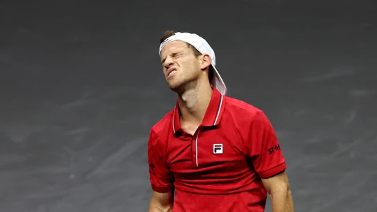 Diego Schwartzman, número 18 de la ATP Diego Schwartzman, número 18 de la ATP