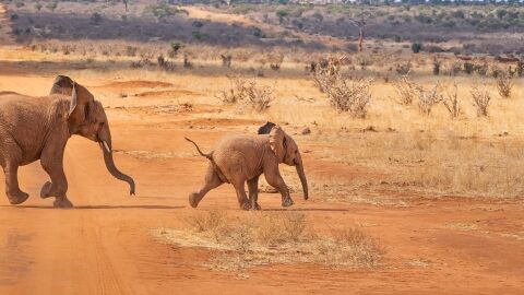 Kenia
