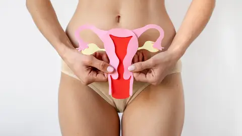 Aparato reproductor femenino ovarios, útero