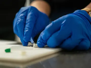 Descubren una nueva droga en Australia con una composición nunca antes vista Descubren una nueva droga en Australia con una composición nunca antes vista