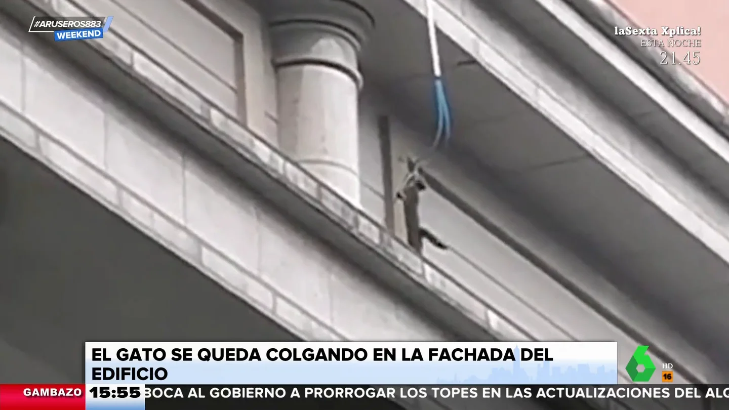 El angustioso rescate de un gato colgando de la fachada de un edificio de seis plantas El angustioso rescate de un gato colgando de la fachada de un edificio de seis plantas