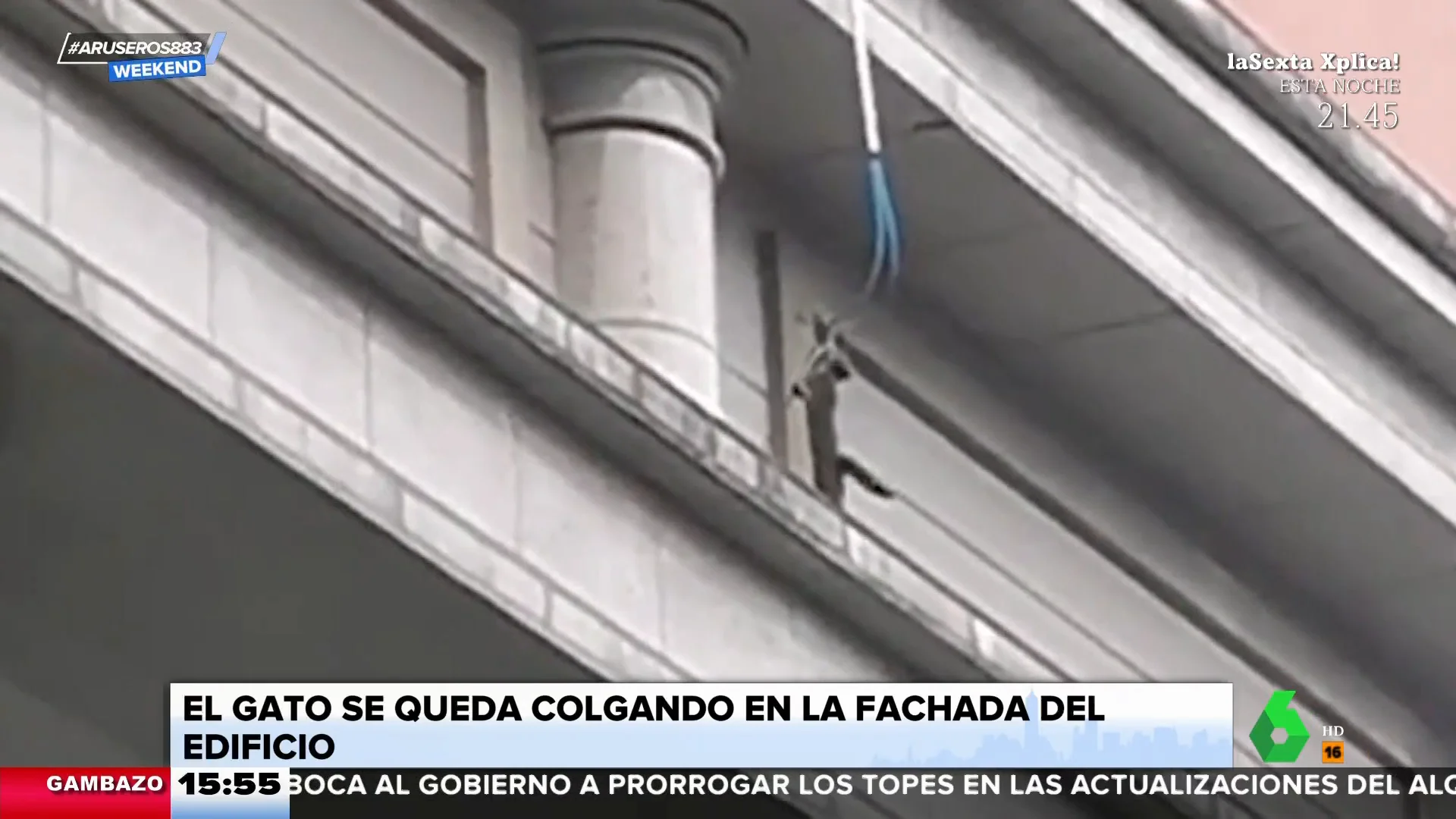 El angustioso rescate de un gato colgando de la fachada de un edificio de seis plantas 