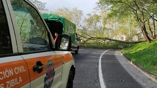 Imagen de Protección Civil en el lugar donde un árbol ha caído por el viento Imagen de Protección Civil en el lugar donde un árbol ha caído por el viento