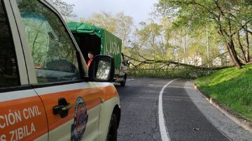 Imagen de Protección Civil en el lugar donde un árbol ha caído por el viento