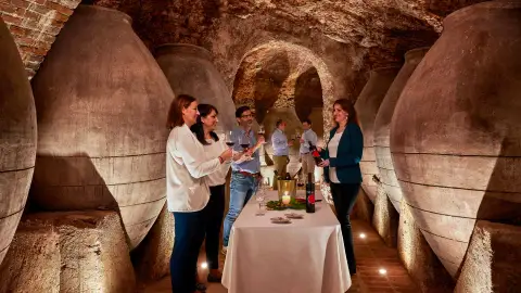 Ruta del vino en Madrid: una experiencia para los sentidos de los amantes del enoturismo Ruta del vino en Madrid: una experiencia para los sentidos de los amantes del enoturismo