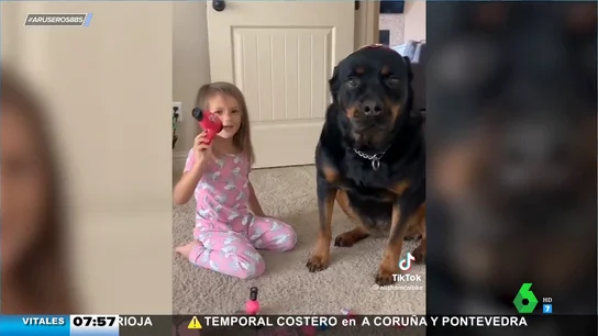 Este perro que quiere hacerse la pedicura es el mejor cliente del 'salón de belleza' de esta niña Este perro que quiere hacerse la pedicura es el mejor cliente del 'salón de belleza' de esta niña