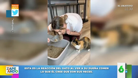 Así huye un gato cuando ve a su dueña comerse su arenero Así huye un gato cuando ve a su dueña comerse su arenero