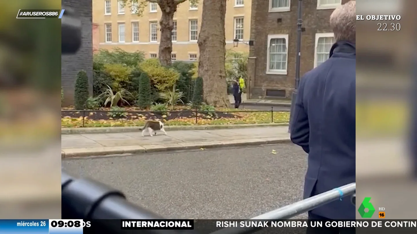 El gato Larry vuelve a Downing Street y el nuevo primer ministro británico comete el 'error' de no saludarle El gato Larry vuelve a Downing Street y el nuevo primer ministro británico comete el 'error' de no saludarle