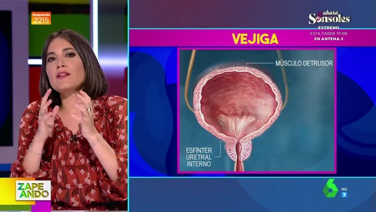 ¿Cuánto pis es capaz de almacenar la vejiga? Boticaria García lo aclara y explica cuándo exactamente nos entran ganas de ir al baño ¿Cuánto pis es capaz de almacenar la vejiga? Boticaria García lo aclara y explica cuándo exactamente nos entran ganas de ir al baño