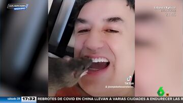 Un periodista deja que su rata le limpie los dientes para luchar contra el estigma de estos animales