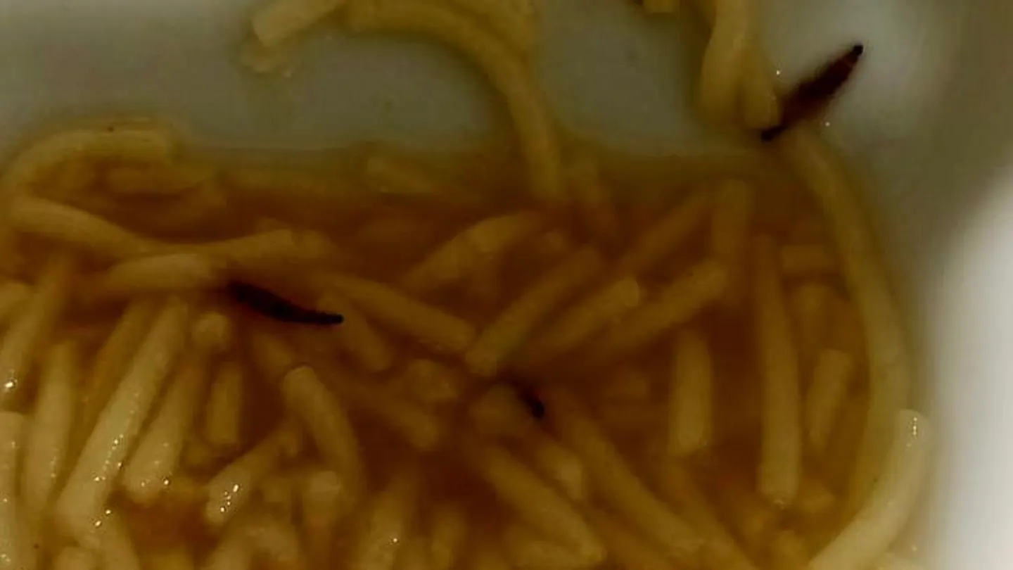 Denuncian la presencia d gusanos en la sopa de los trabajadores del Hospital de León Denuncian la presencia d gusanos en la sopa de los trabajadores del Hospital de León