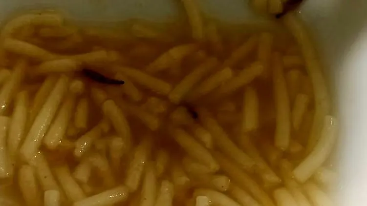  Denuncian la presencia d gusanos en la sopa de los trabajadores del Hospital de León