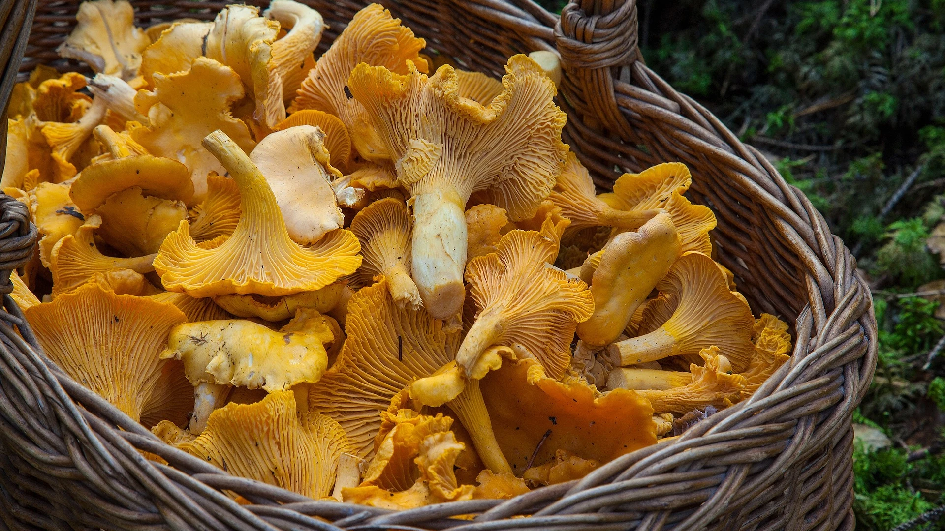 Estos son los 10 alimentos que no pueden faltar en tu dieta este otoño